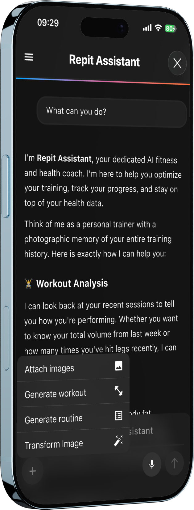 Repit Assistant AI screen